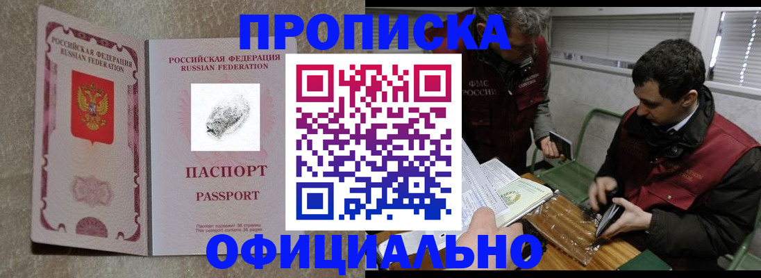 прописка поиск в Курске